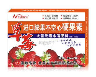 草莓進口膨果不空心硬果素